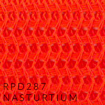 RPD287 NASTURTIUM.jpg