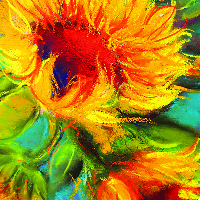 sunflowerinbloom-lyle.jpg
