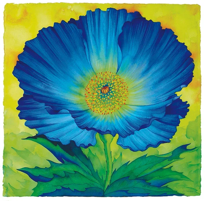 Vivid: Color in Nature
