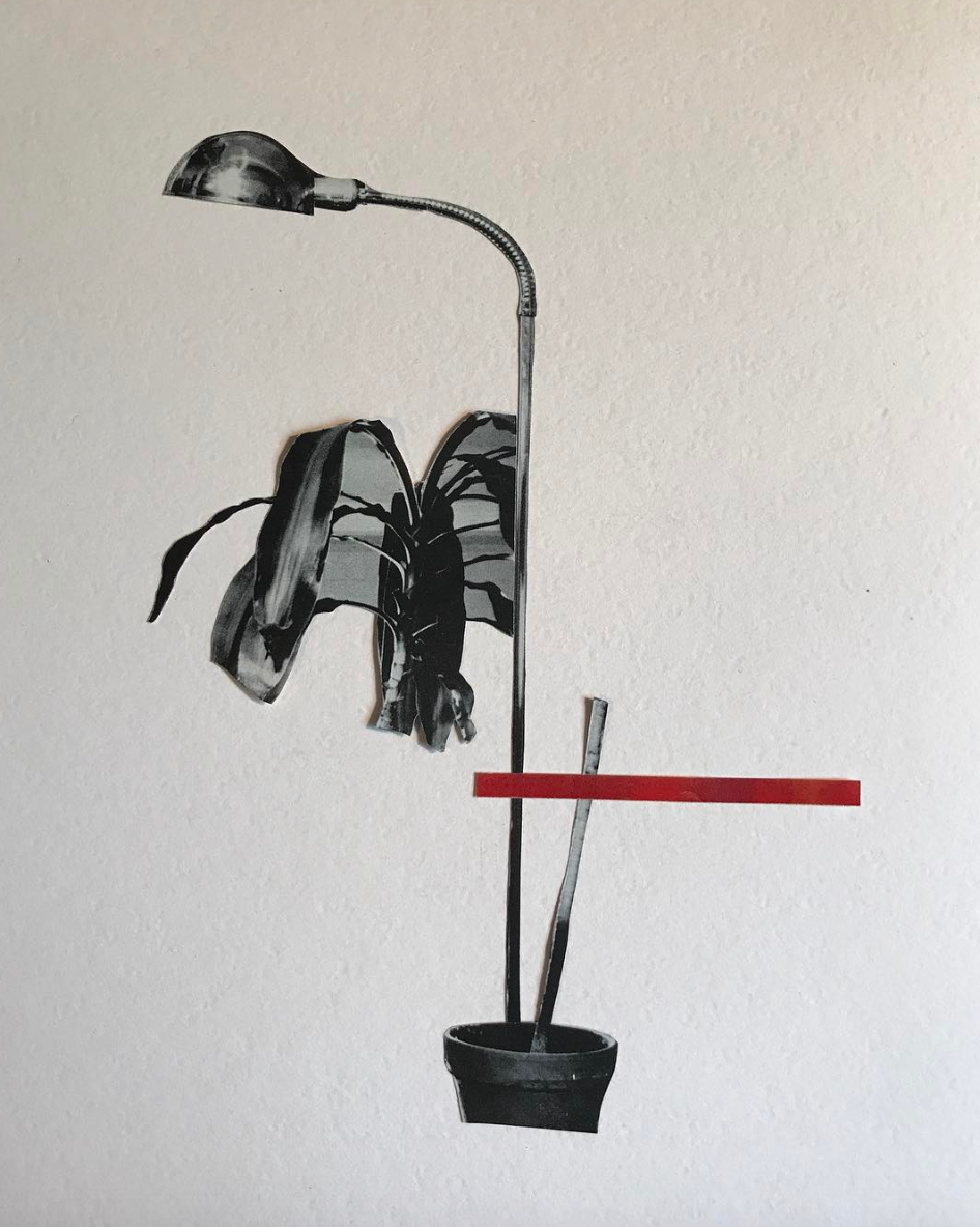 Illustration for an article titled, "How to Kill Your Houseplants in Three Easy Steps"