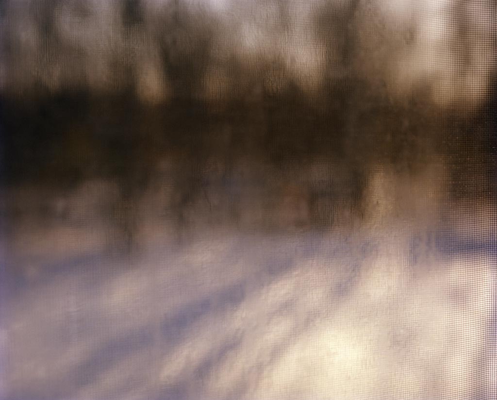 blurrywindowsnowtrees.jpg