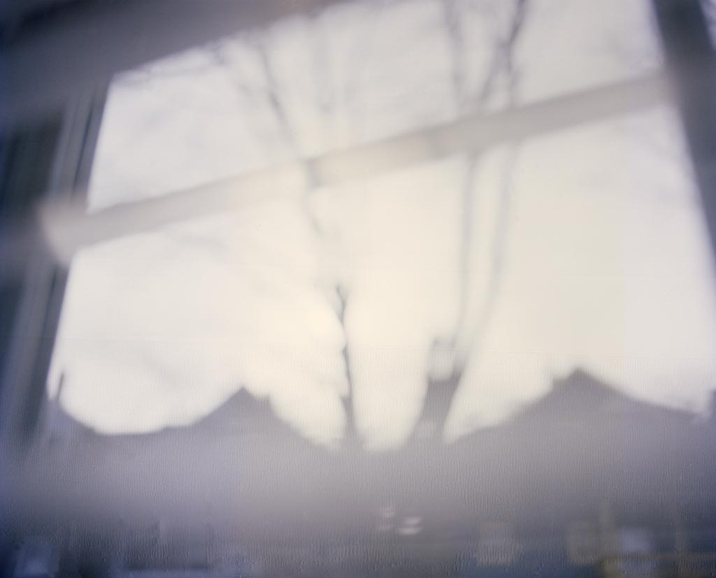 rooftops&treesillhouettes.jpg