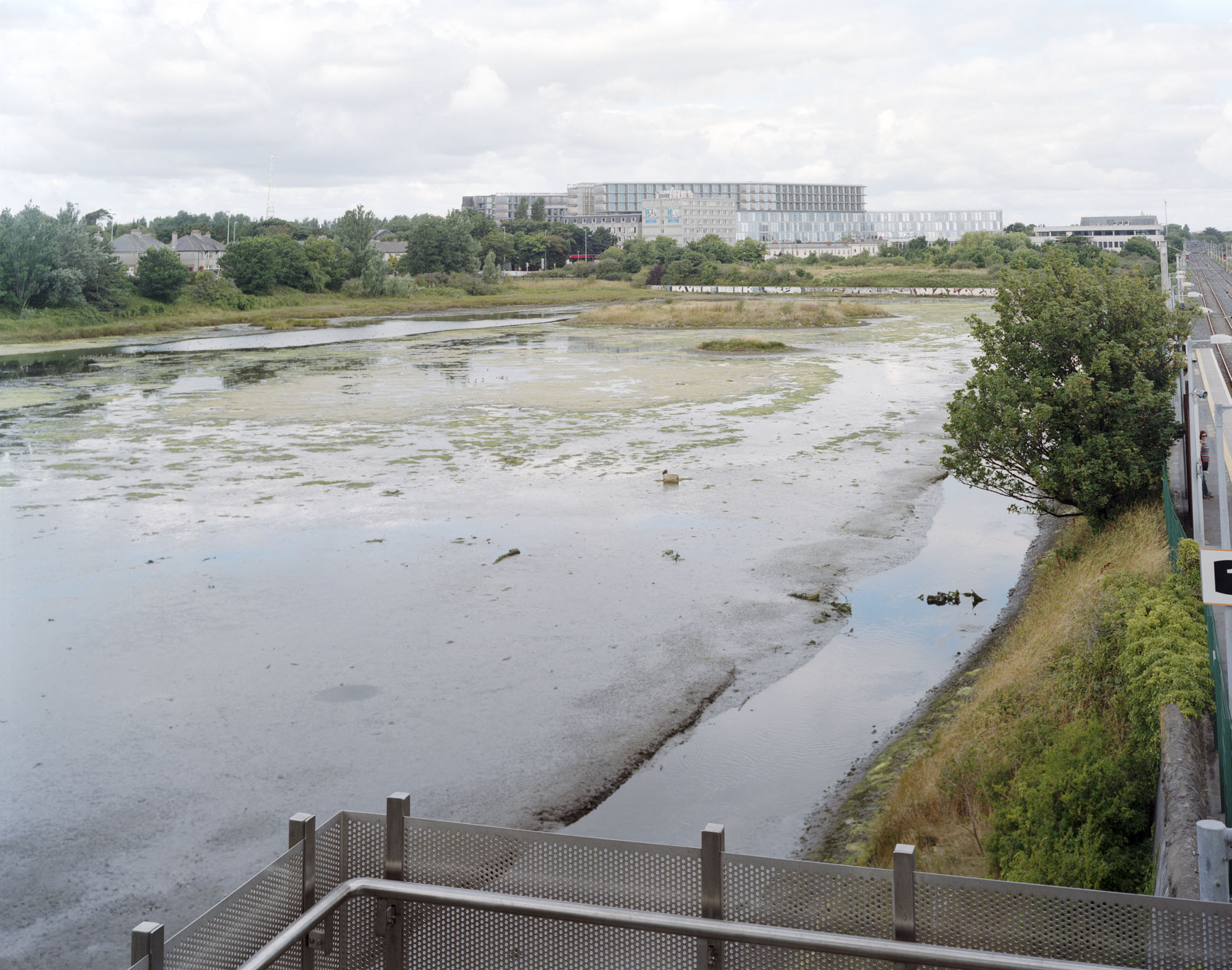 marshyareaBooterstown.jpg