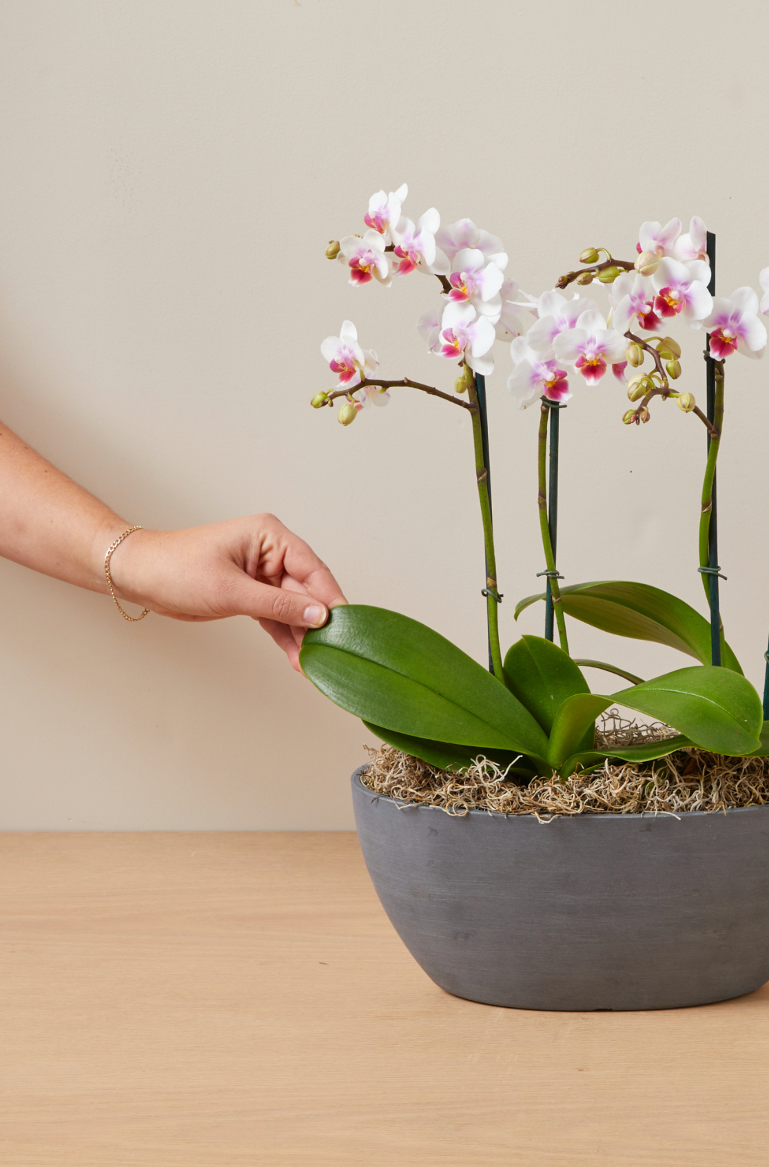 Screenshot 2023-08-09 at 10.09.04 AM.png