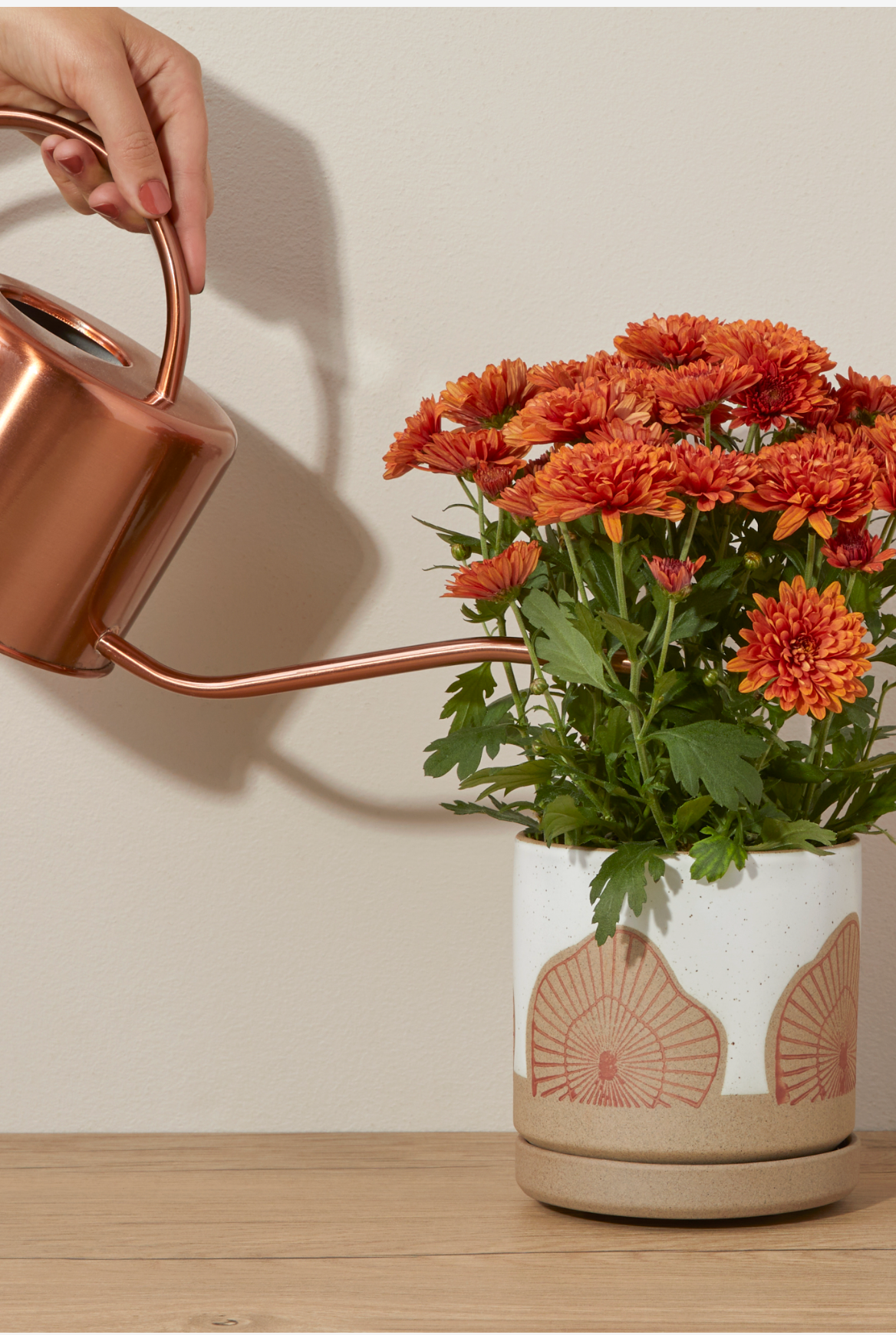 Screenshot 2023-08-09 at 10.17.18 AM.png