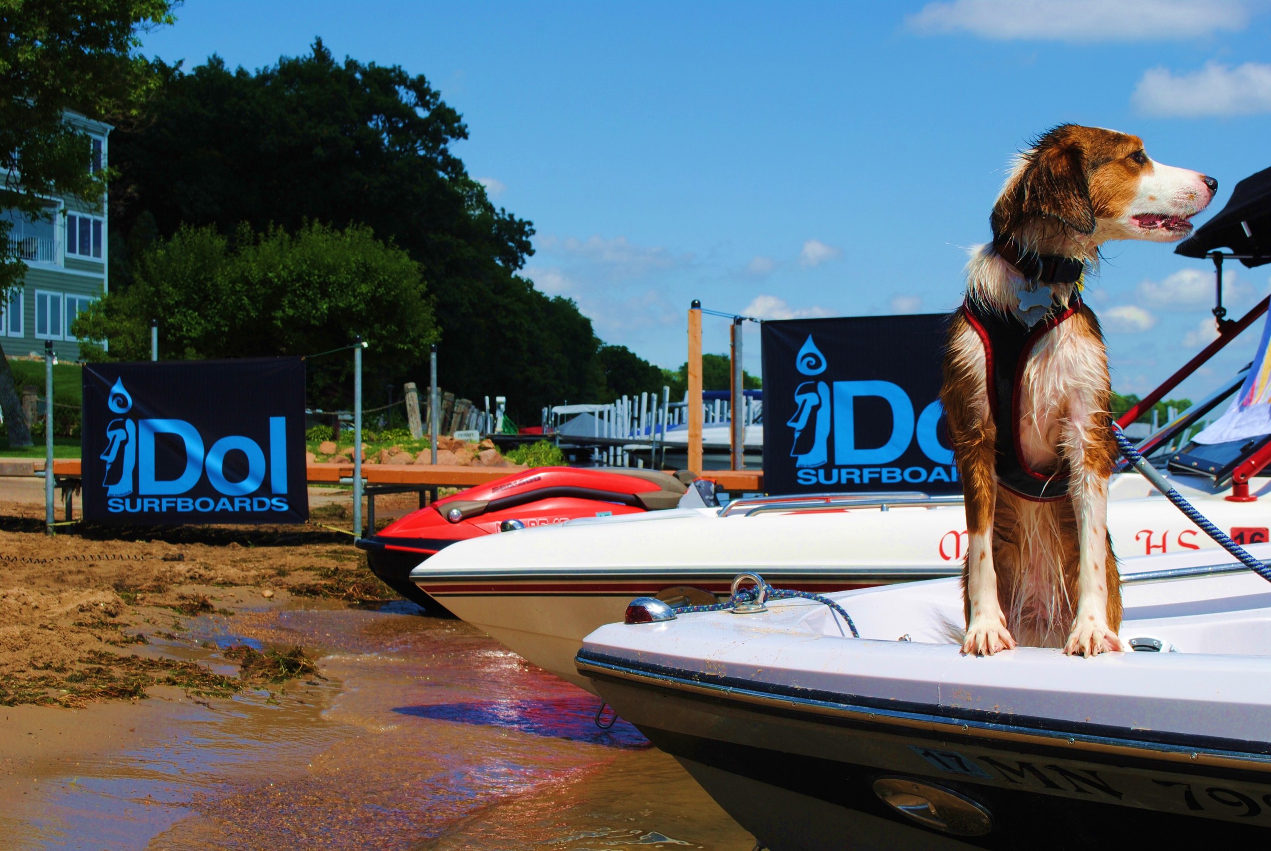 Emmy the dog enjoying the action from the bow of her boat.