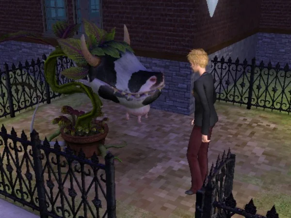 snapshot_0000000b_0fc9e6fd.jpg