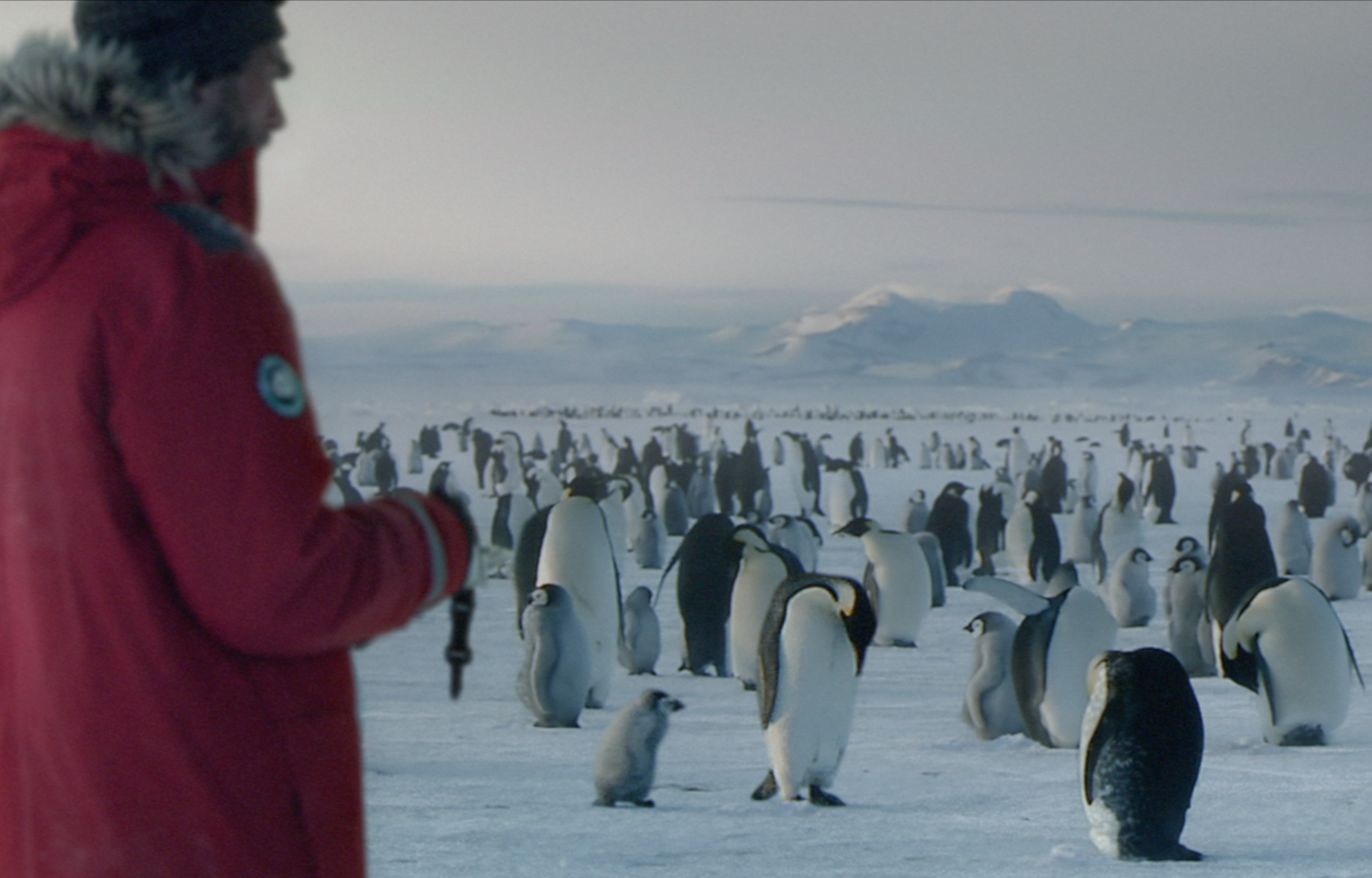 Screen Shot 2018-11-09 at 3.37.45 PM.png