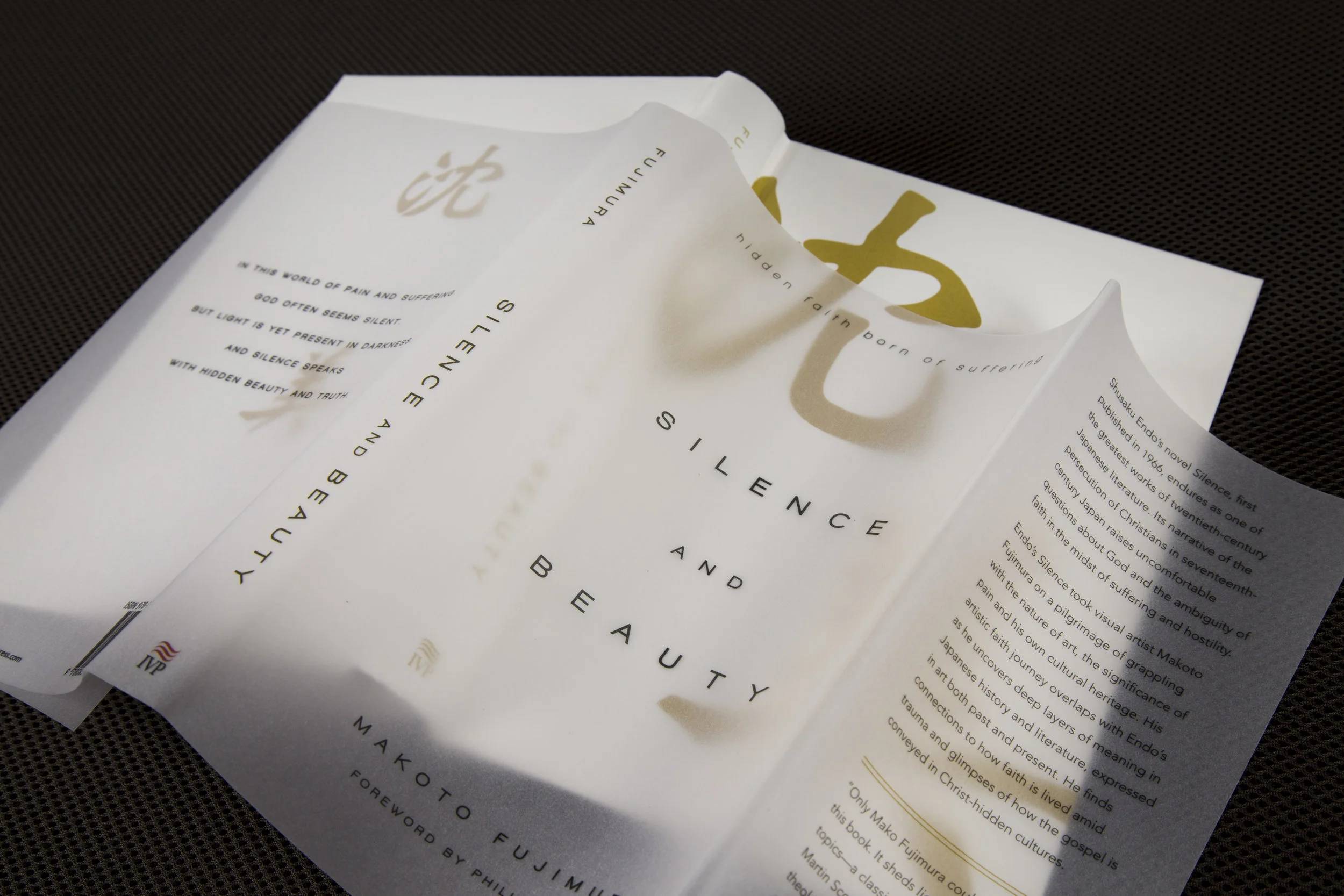 Silence and Beauty - Acetate Dust Jacket Book