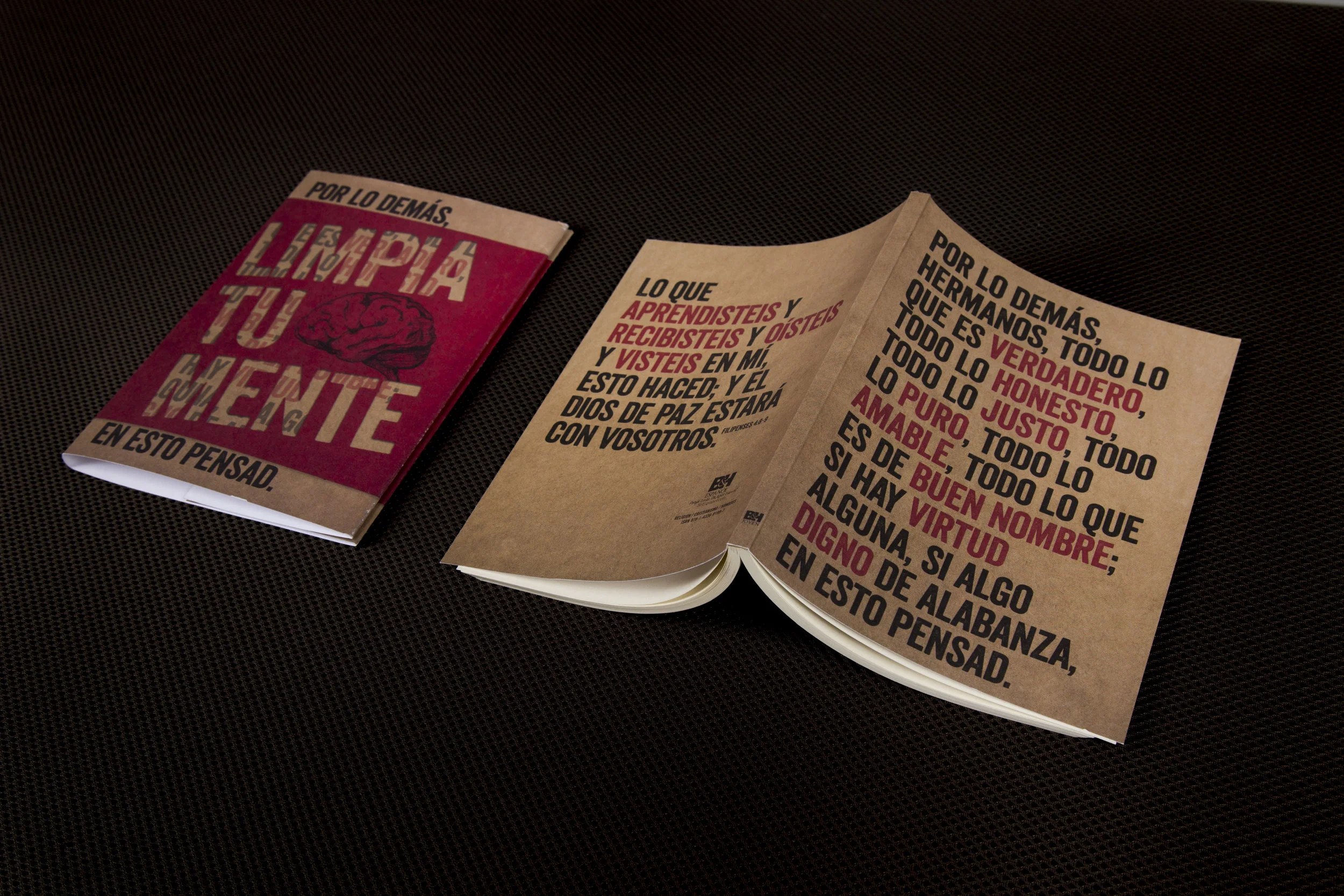 Limpia Tu Mente (Clean Your Thoughts) - Dust Jacket