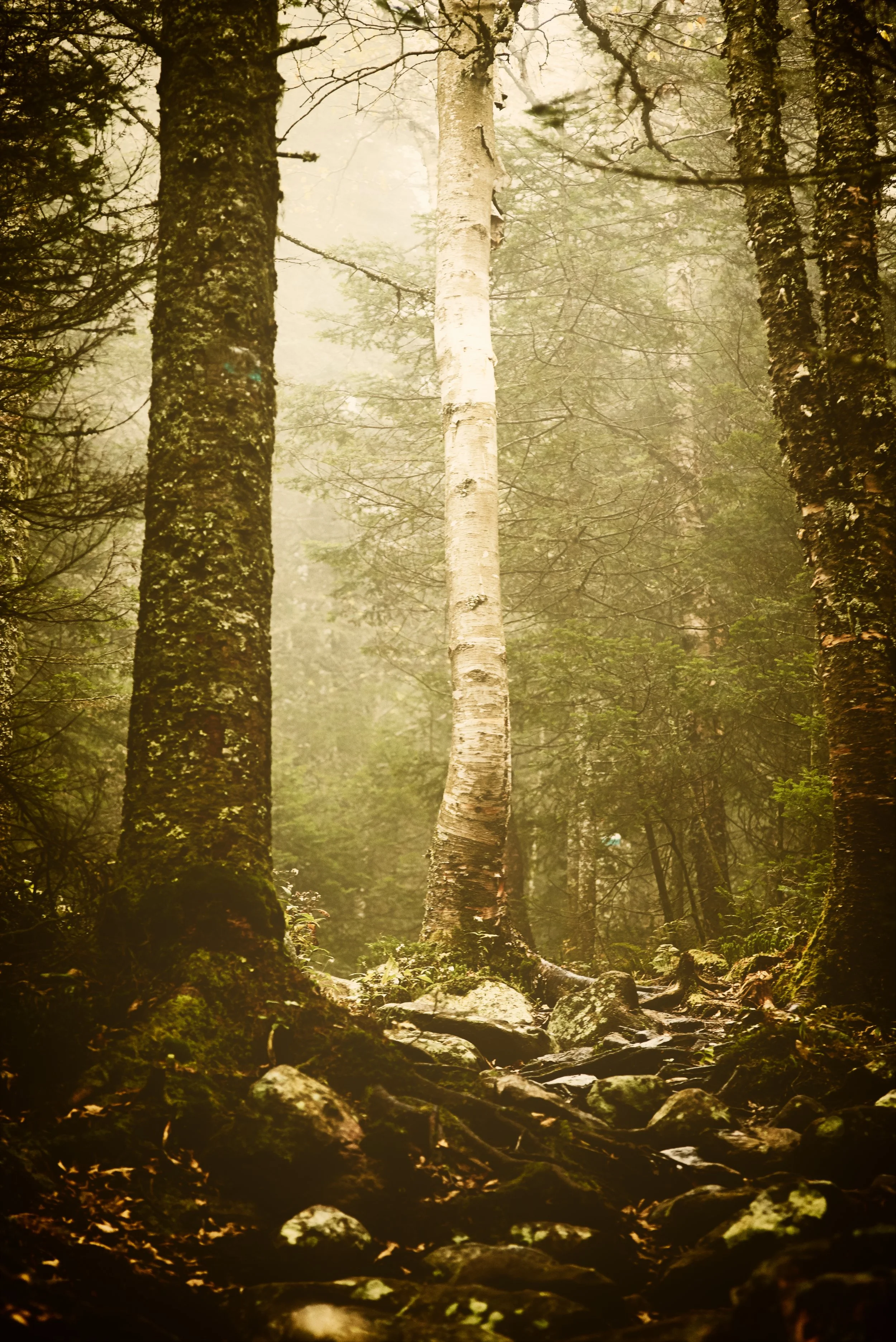 The Basics of Photography and Scouting: Staying True to Your Vision