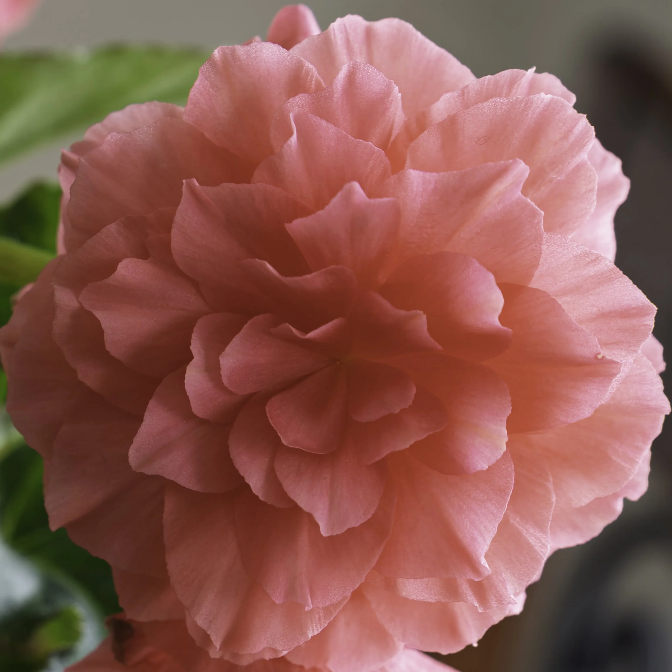 You Don’t Have to Go Far to Make Meaningful Photographs