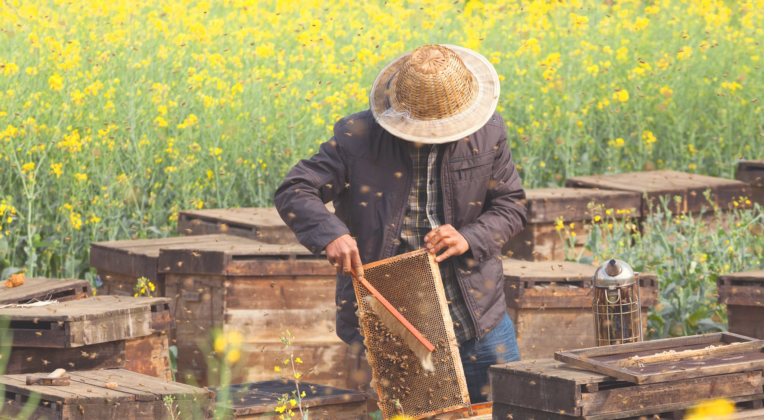 Bee Farm