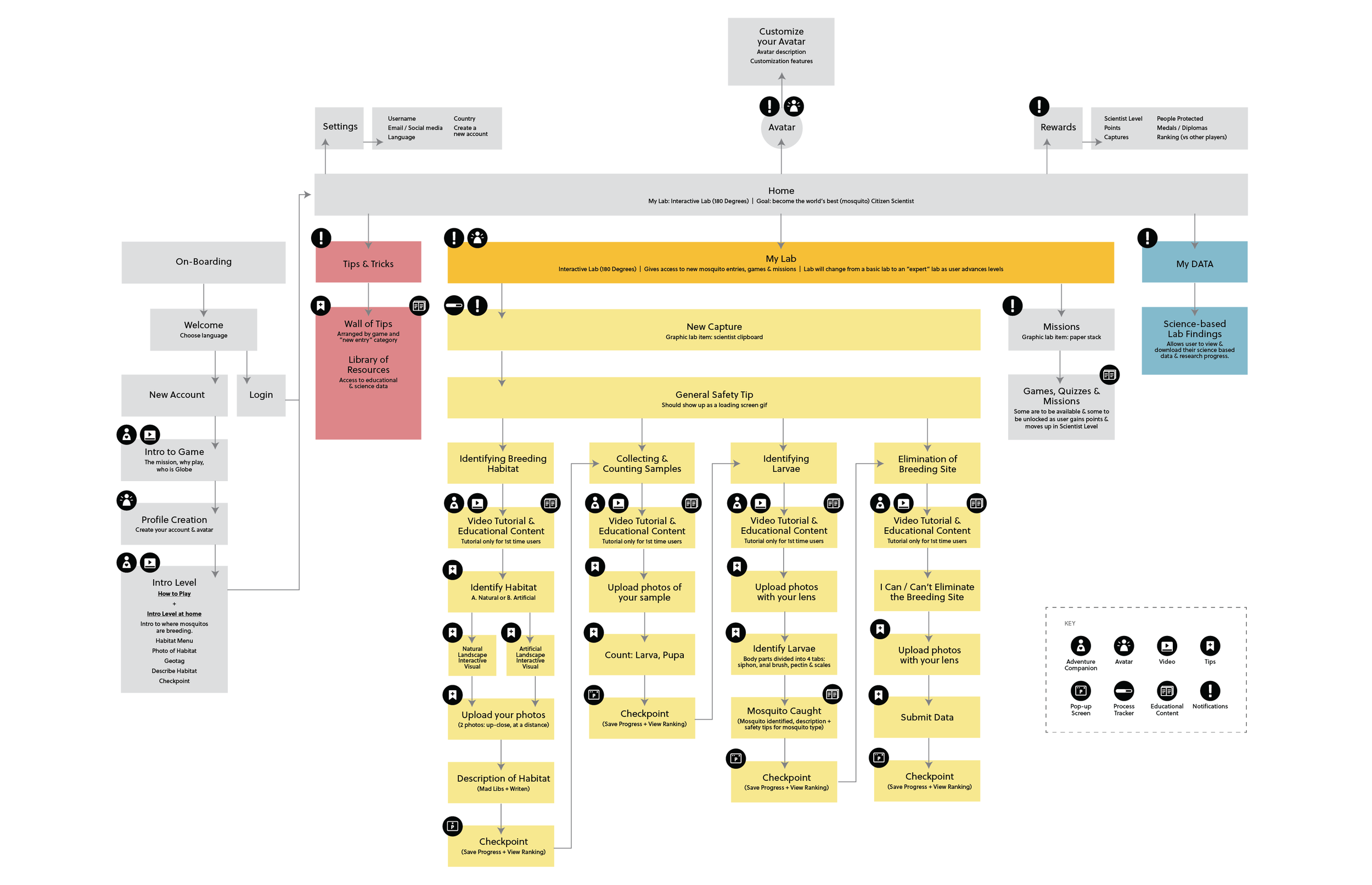 Information Architecture