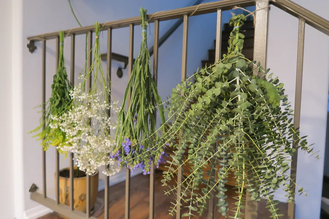 diy drying flowers