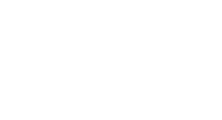 Dances with Films Festival