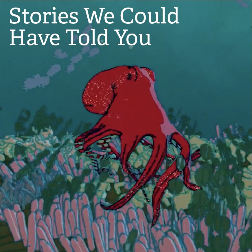 stories-we-could-have-told-you.jpg