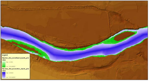 Figura del modelamiento HEC-EFM con las zonas de vegetación estacional y las zonas de inundación del río.