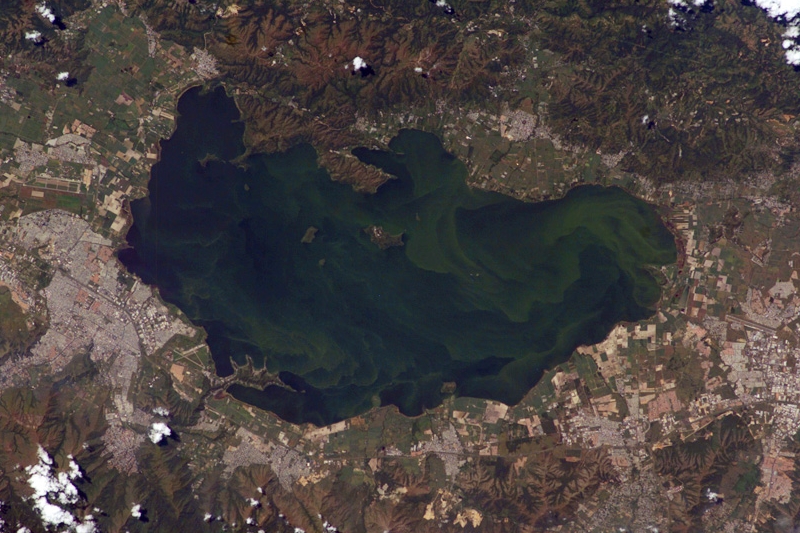 La gestión ambiental eficiente evitará/remediará serios impactos como la eutrofización de lagos. Foto del Lago de Valencia - Venezuela.