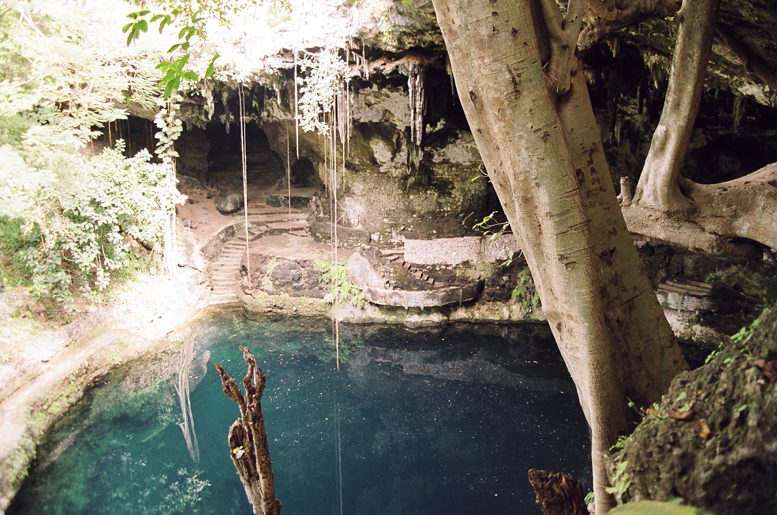 Cenote Zaci, Valladolid, Q. Roo, Mexico. Fuente: Wikipedia