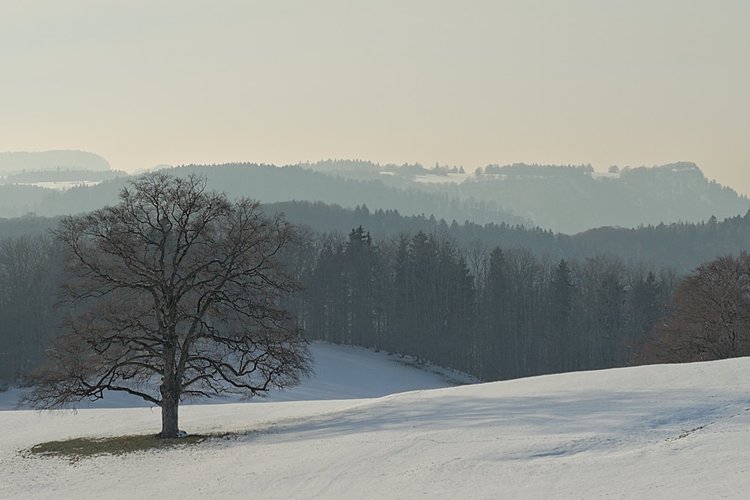 Jura de Suabia en invierno