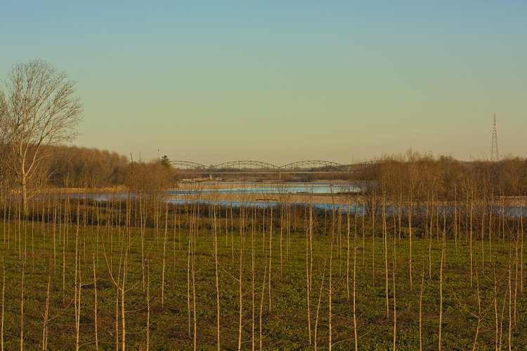 Terrazas aluviales cercanas al río Po.