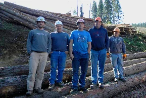 danielson-logging.jpg