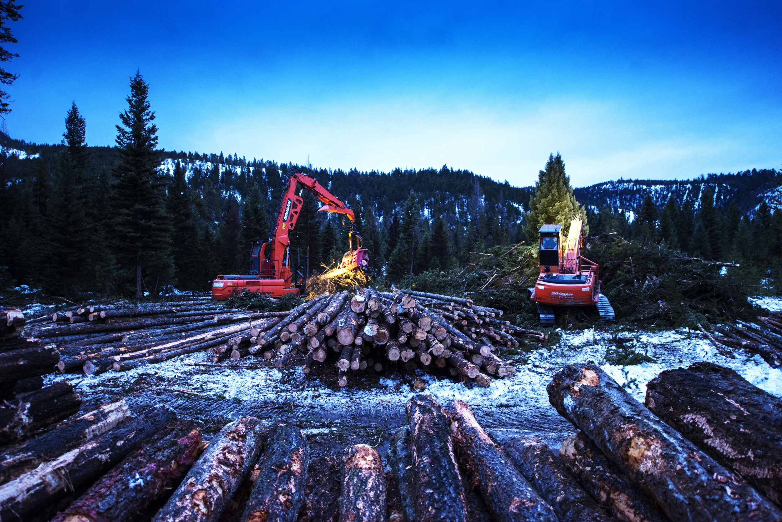 225 DX Doosan W 622C Waratah Processing Head – Operator/Owner: Mike Newton Doosan 225LL Log Loader – Operator: Todd Boehler, Employee of Newton Logging, Inc.