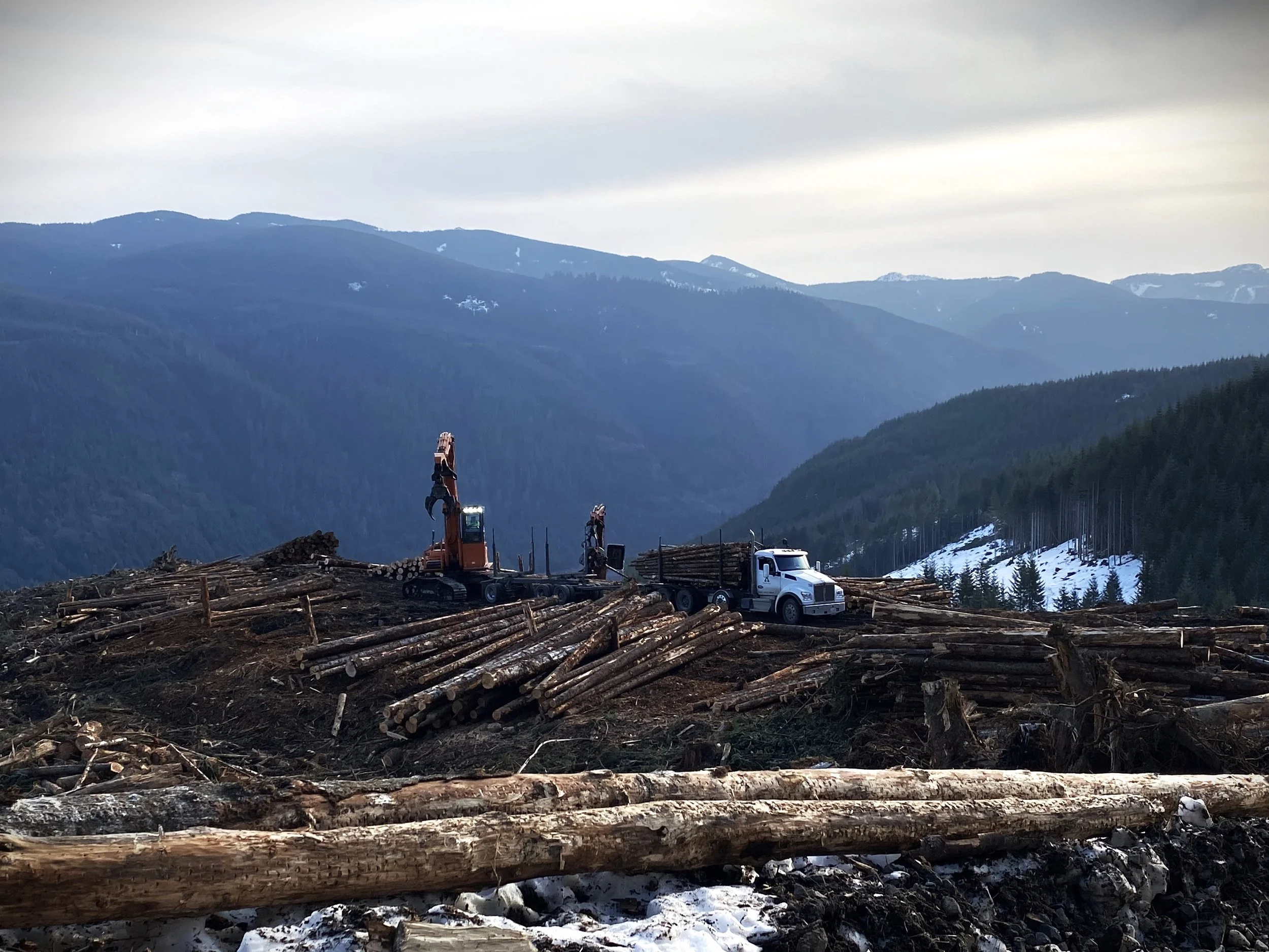 IMG_1722 - Copy2.JPG