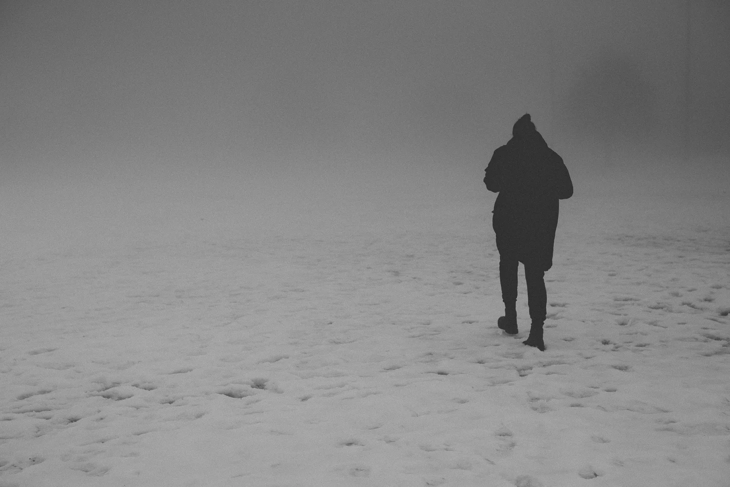 Dev & Fog-7.jpg