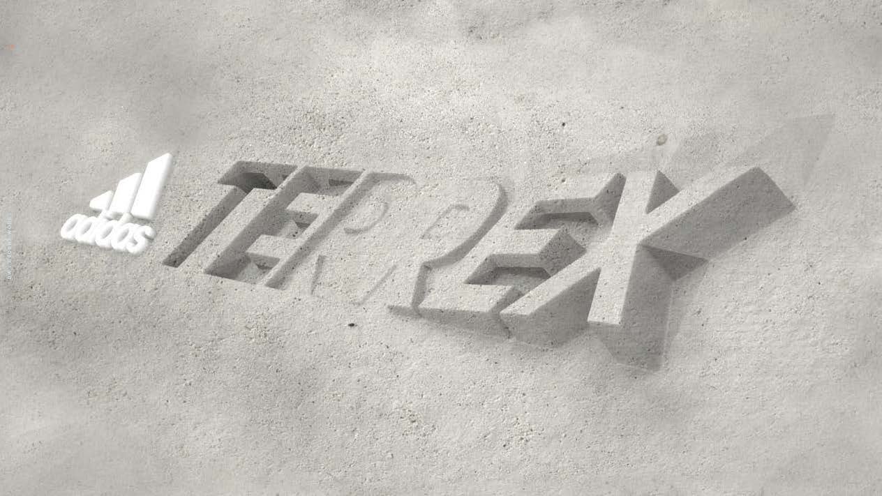 Terrex Rebrand