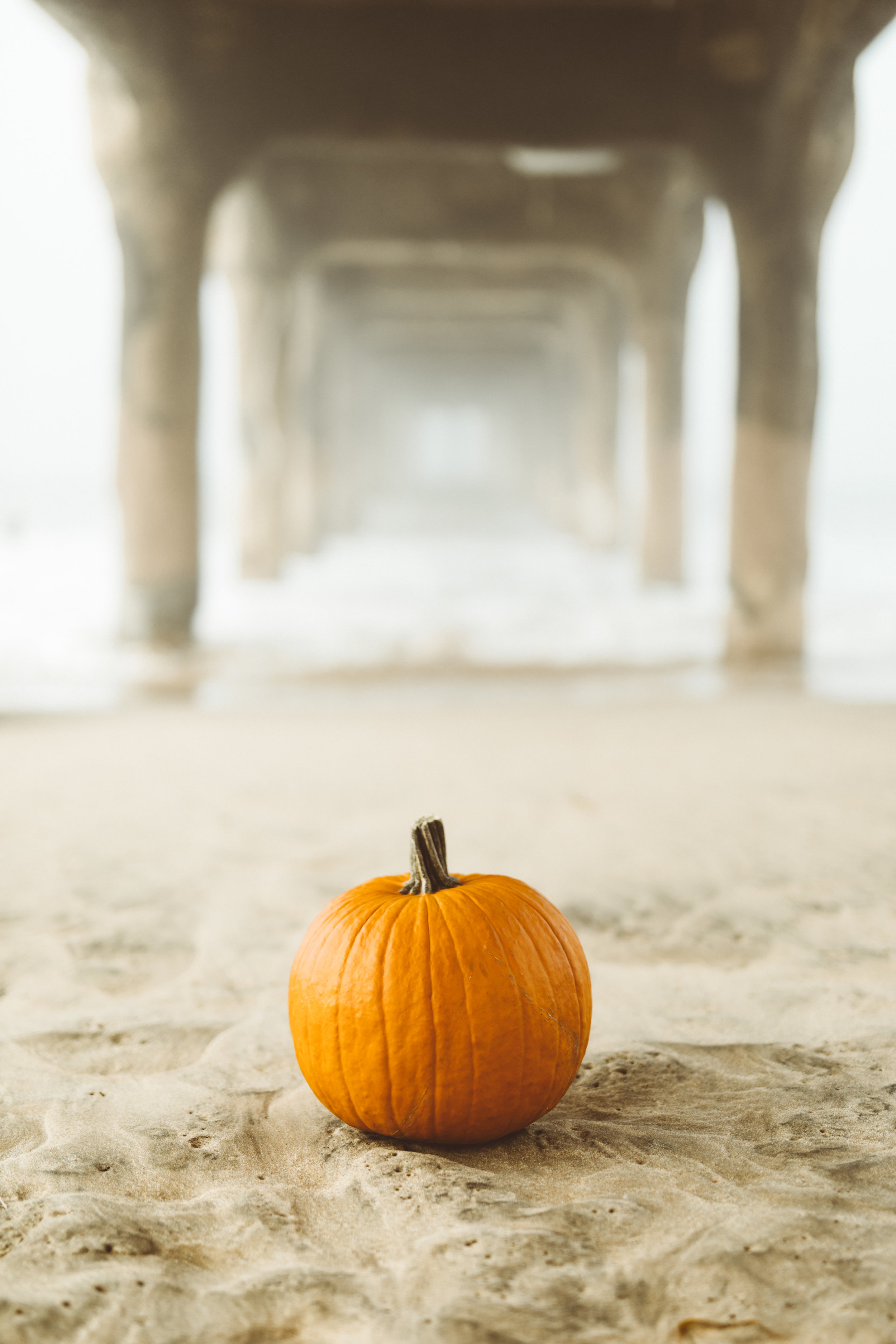 Don't Get Tricked When it Comes to Site Planning