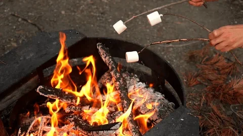 marshmellows.webp