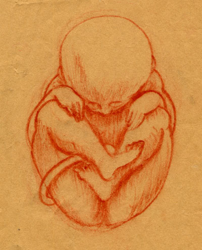 fetus-4WEB.jpg