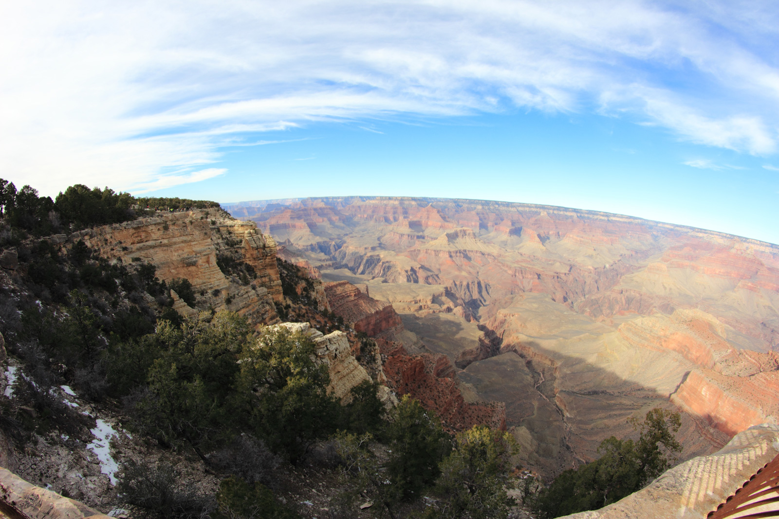IMG_8139.jpg