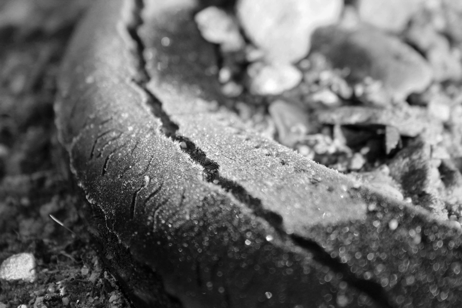 IMG_1137_Tire.jpg