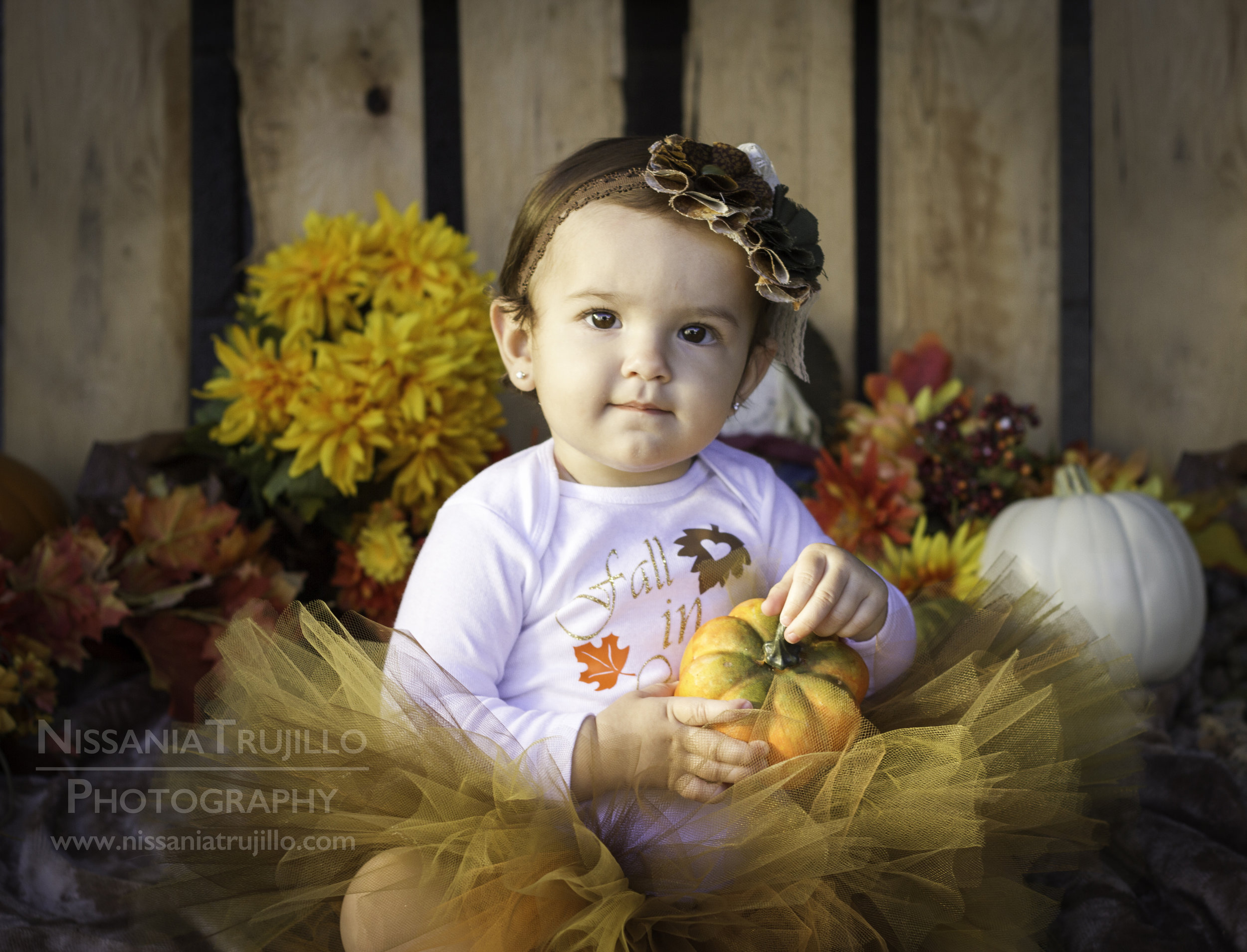 IMG_0315-2.jpg