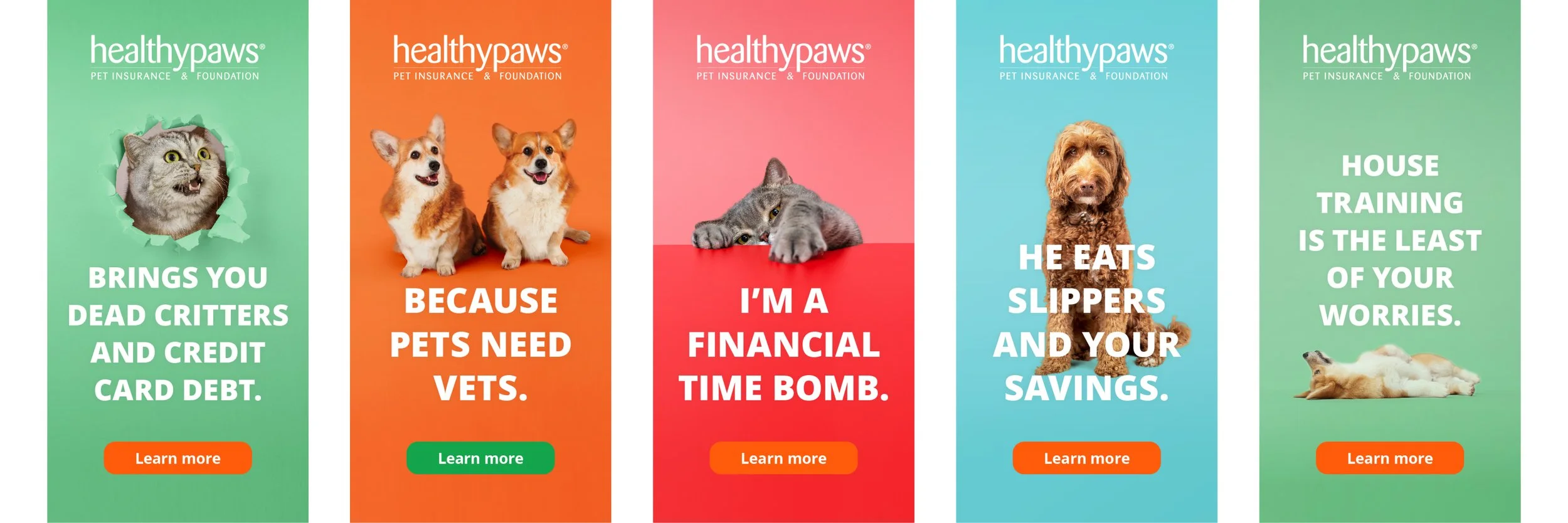 Healthy Paws digital.jpg