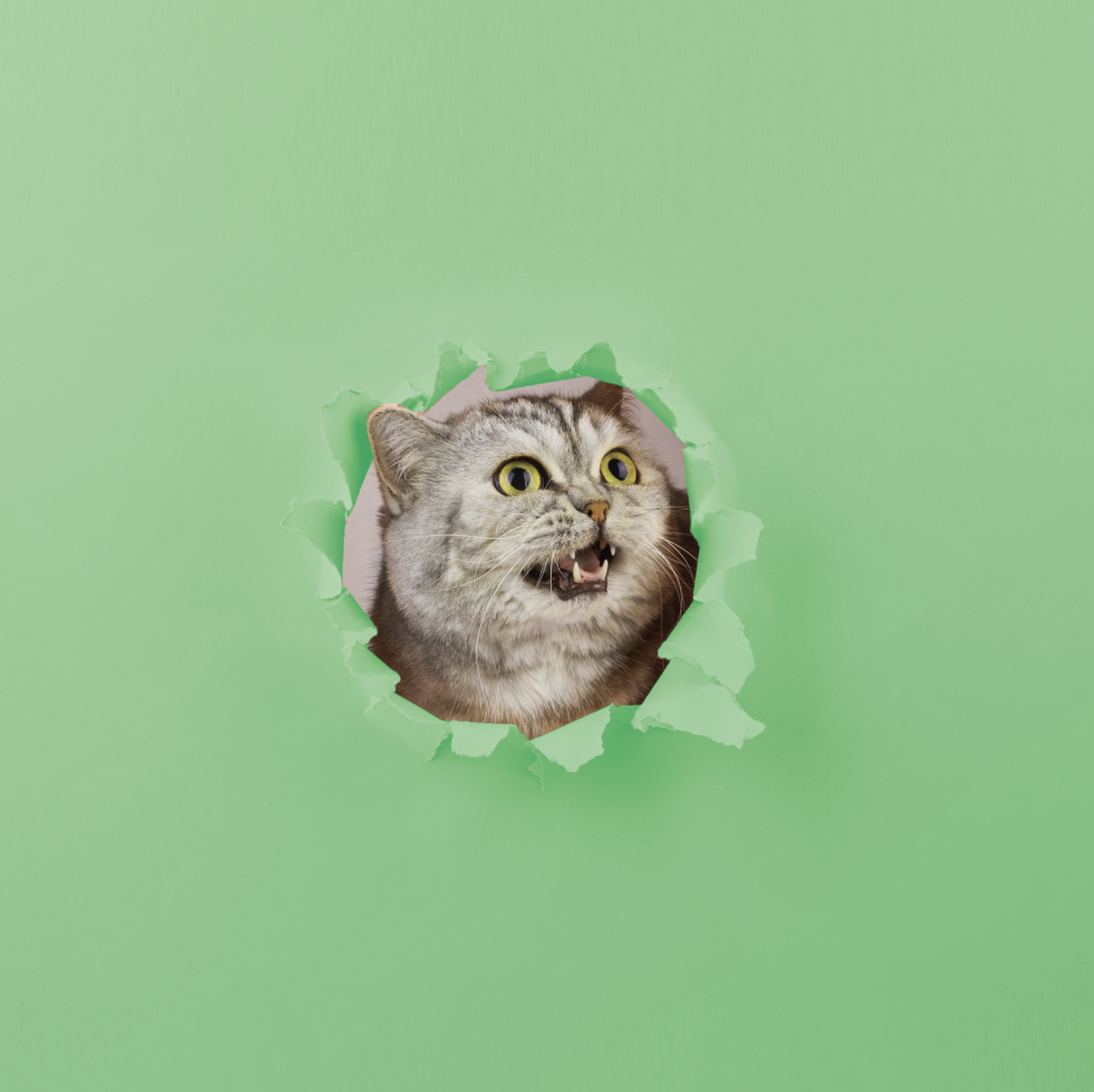 Screenshot 2026-03-16 at 9.46.37 PM.png