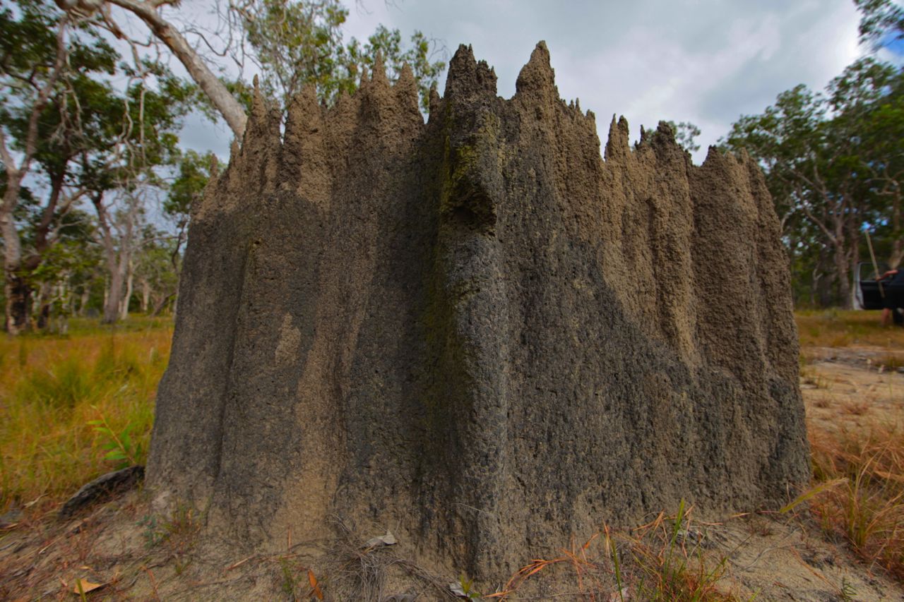 Adventure_Junky_Yolngu_Dhukarr_2013 144.jpg