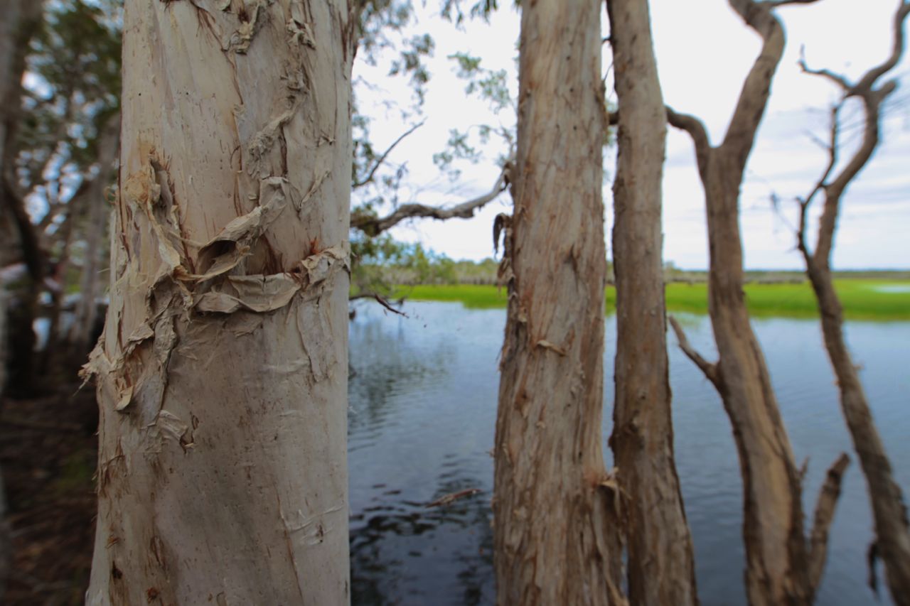 Adventure_Junky_Yolngu_Dhukarr_2013 51.jpg