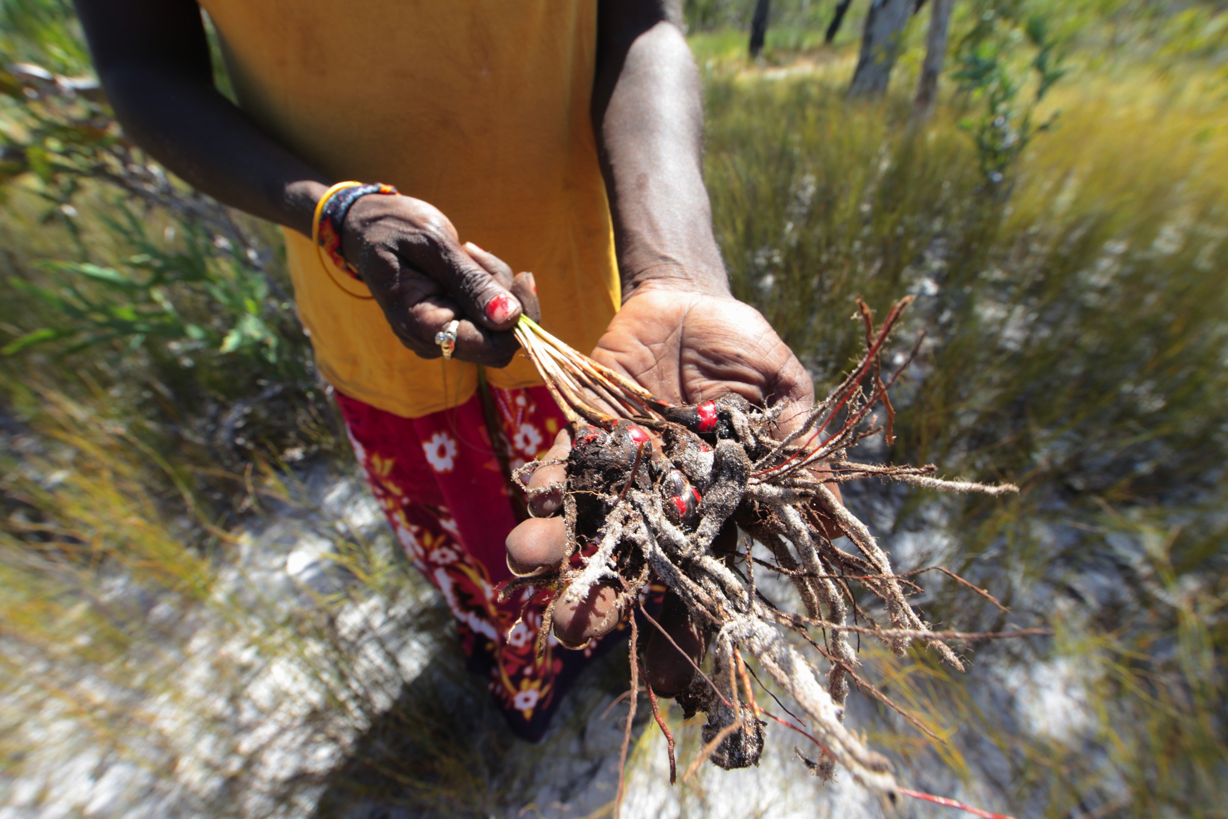 Adventure_Junky_Yolngu_Dhukarr_2013 79.jpg