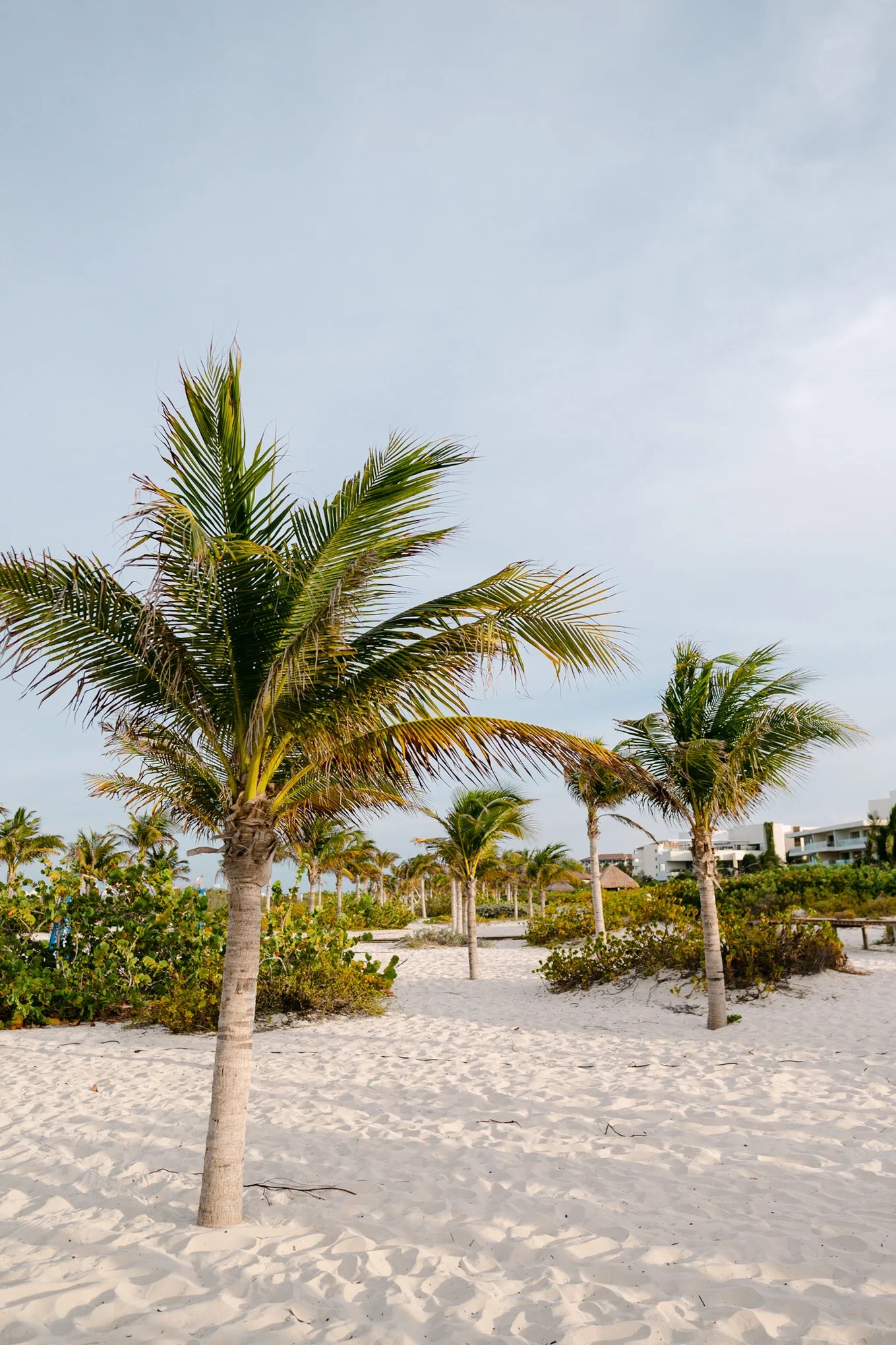 BEACH_WEDDING_PHOTOS_INSPO_RIVIERA_MAYA_PHOTOGRAPHER346.JPG