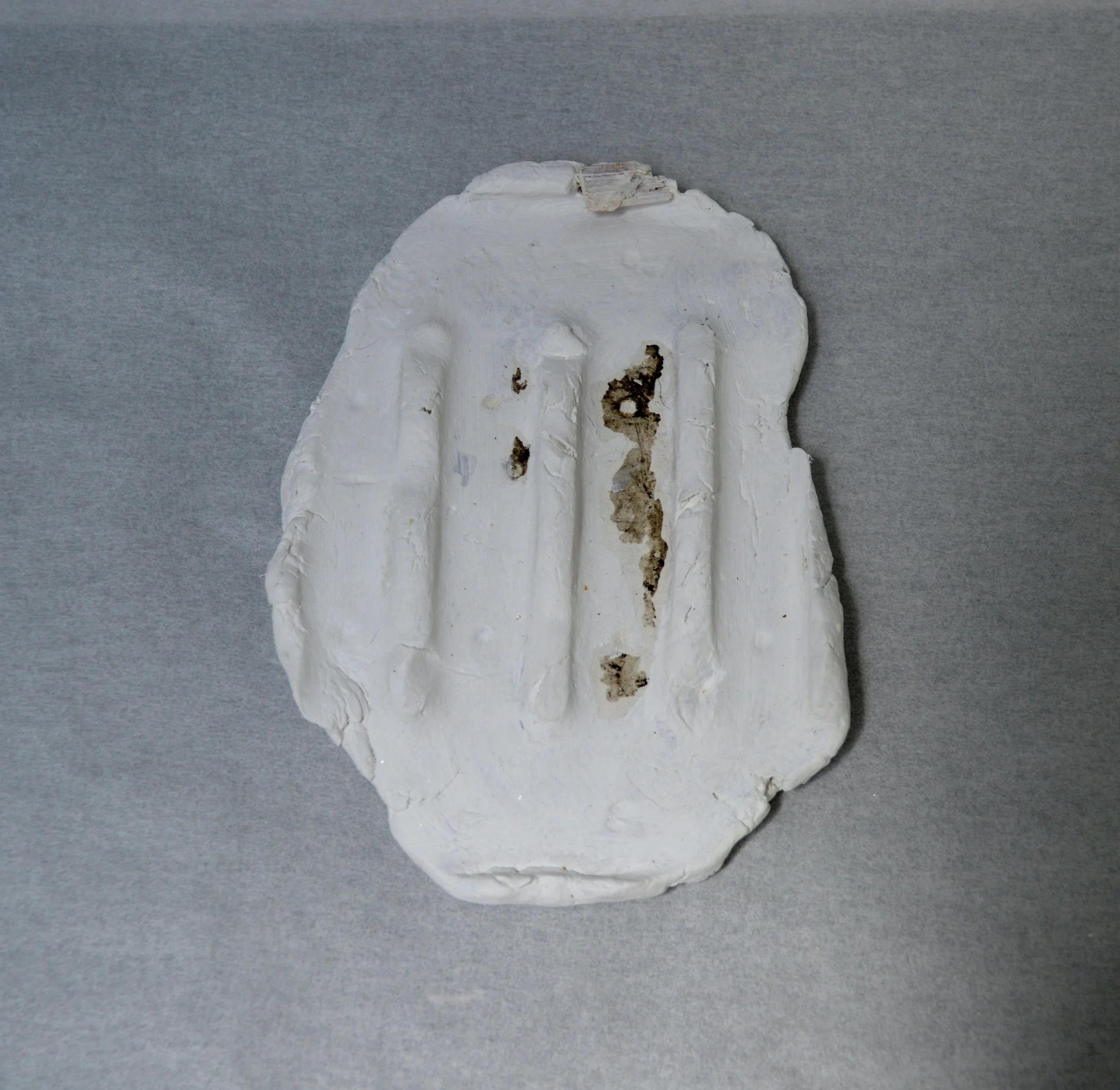 3 , site: anterior gallery. material: air dry clay, debris, gesso, matte medium. 5.5" x 4" x 0.7" , May 2019
