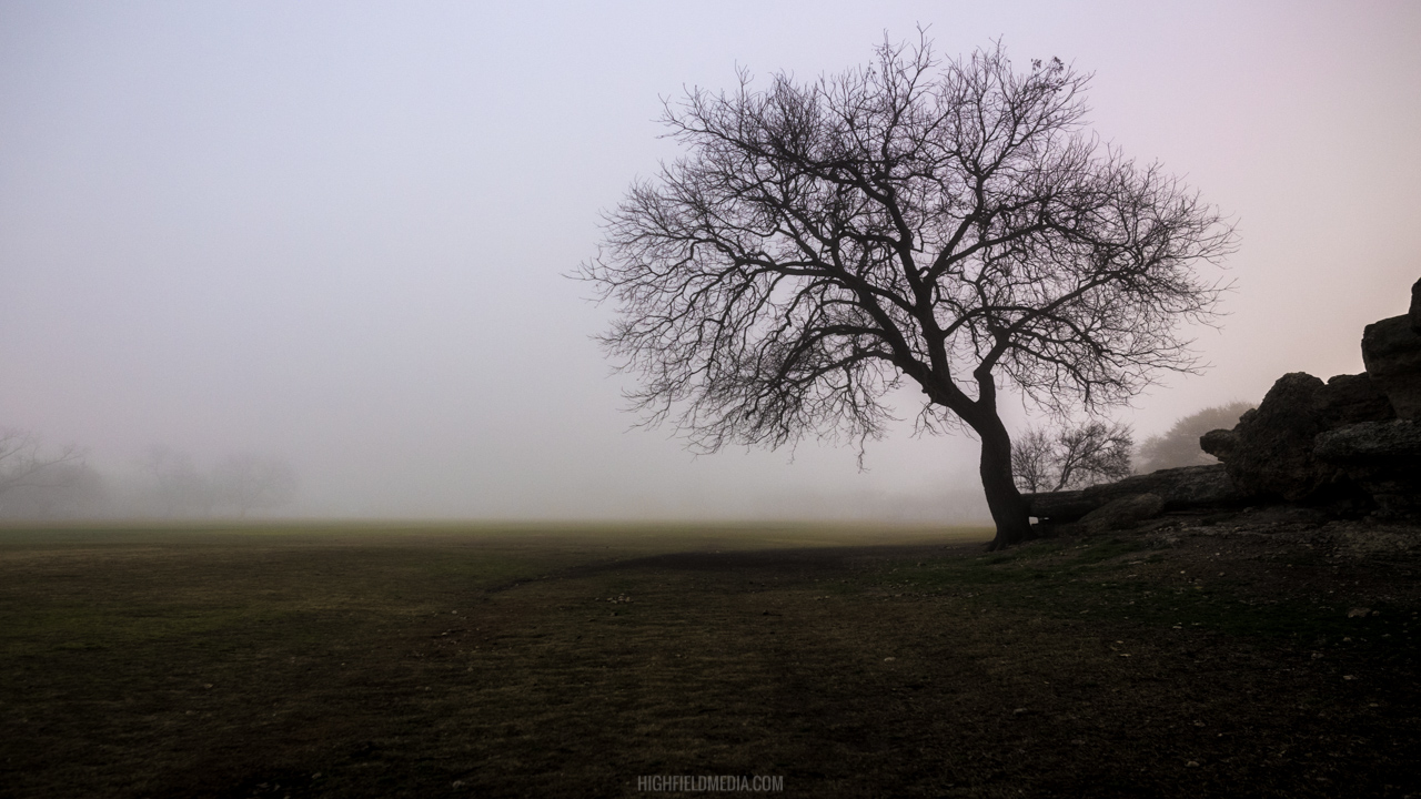 The Zilker Park Great Lawn shrouded in fog at 3AM.