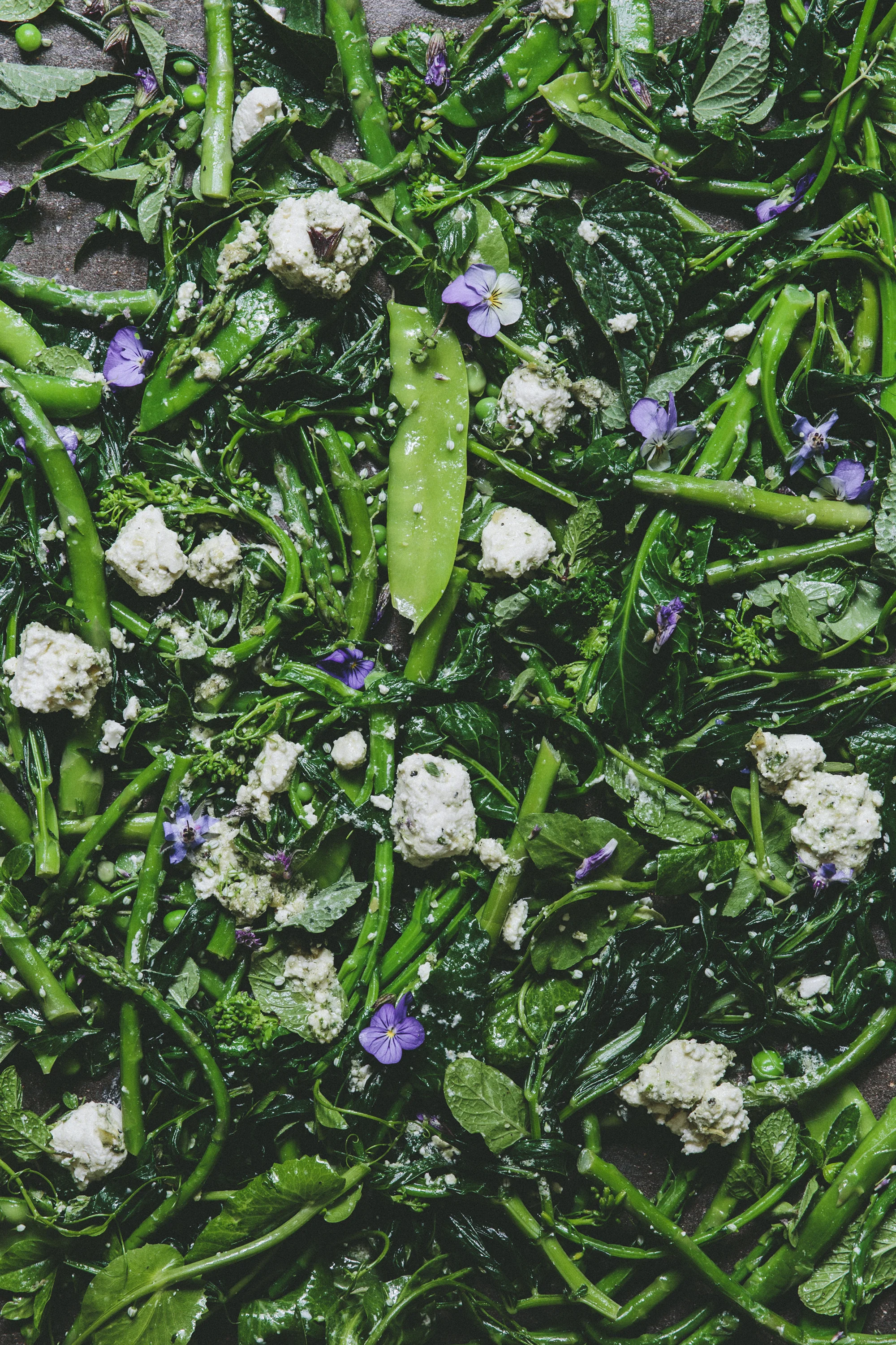 web Spring Salad_002_1.jpg