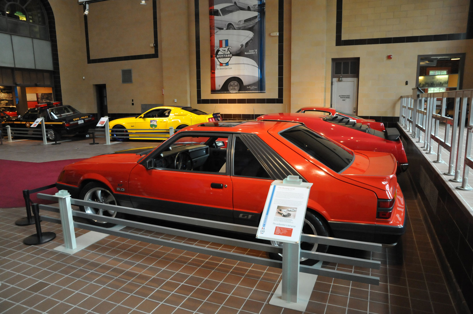 Mustang at 50165.jpg