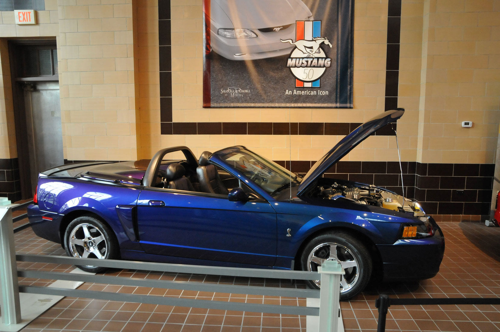 Mustang at 50166.jpg