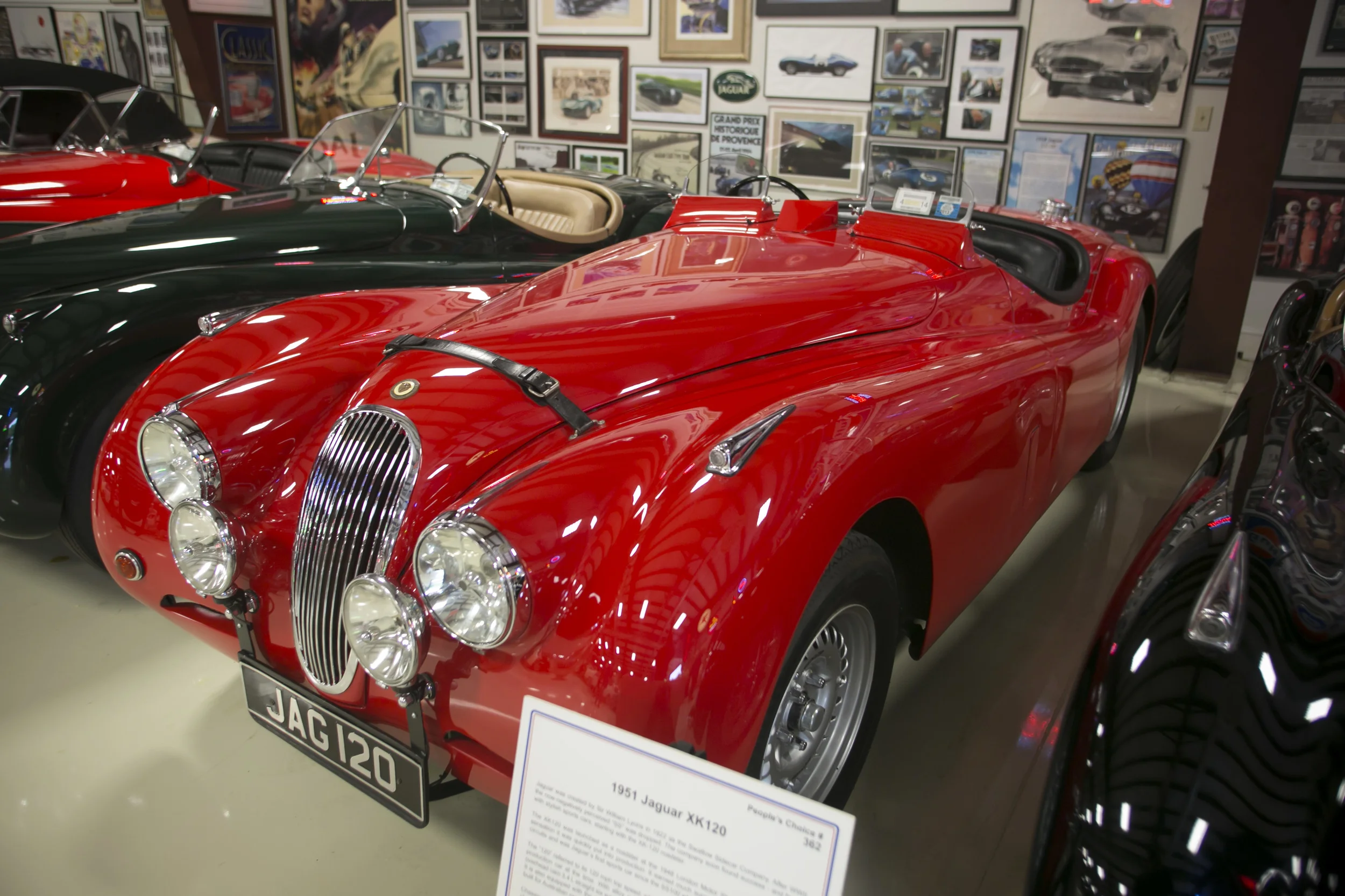 G55A0172.jpg