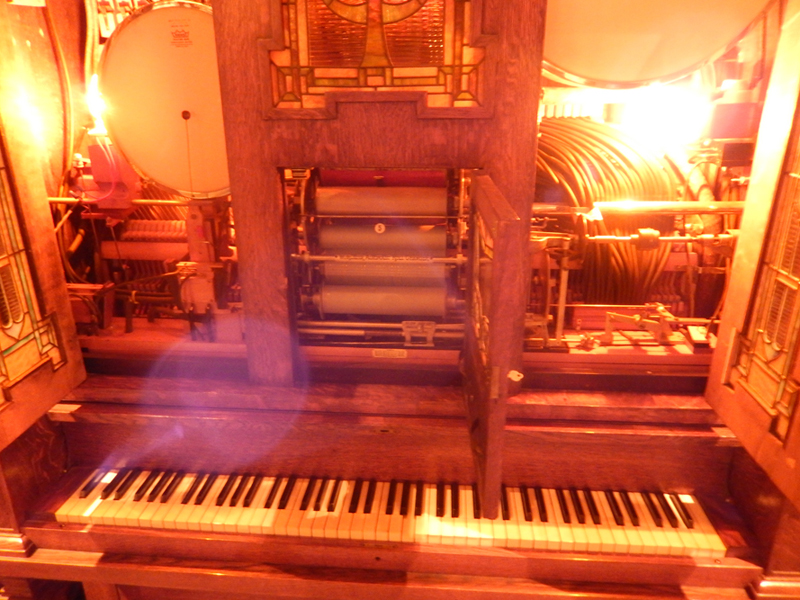 DSCN0211.jpg